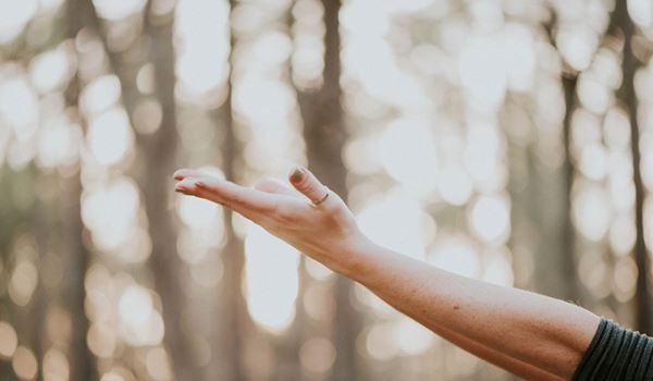 An Outstretched Arm With Palm Facing Upwards
